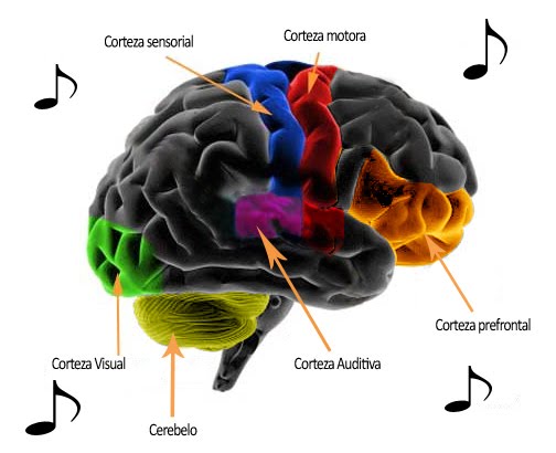 Música y reparación cerebral?